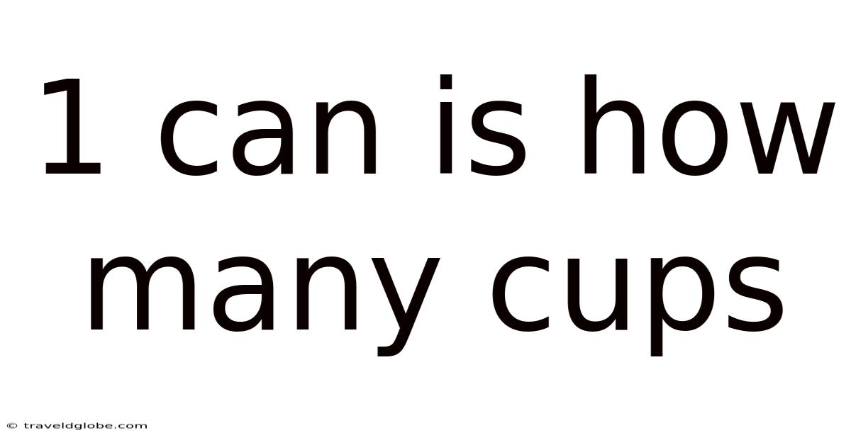 1 Can Is How Many Cups