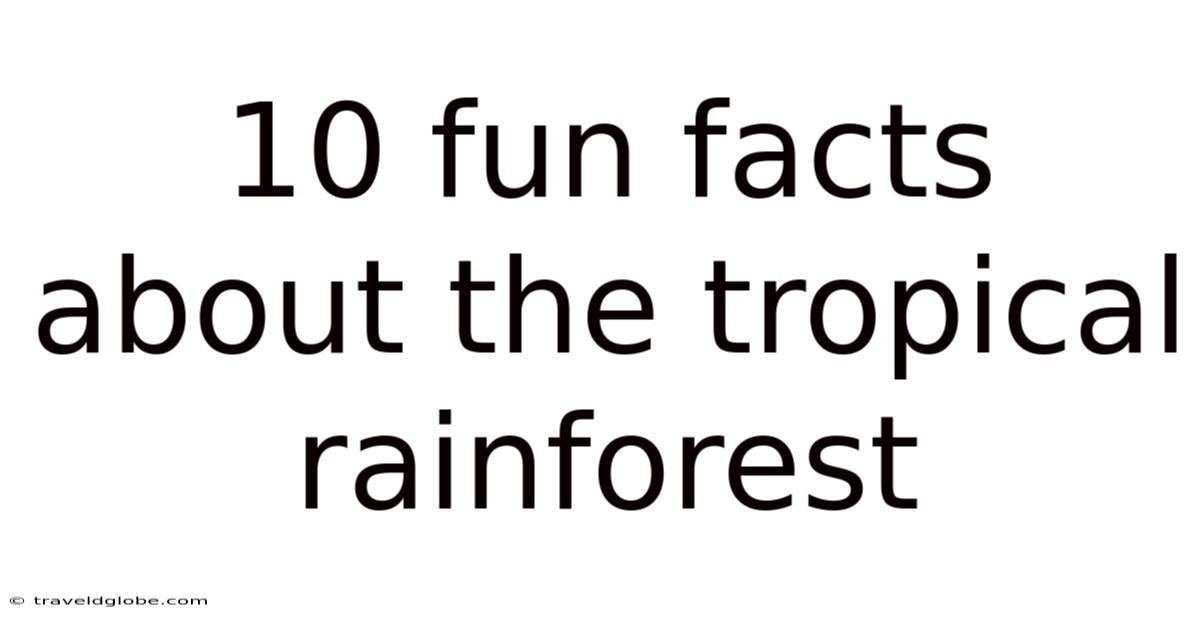 10 Fun Facts About The Tropical Rainforest