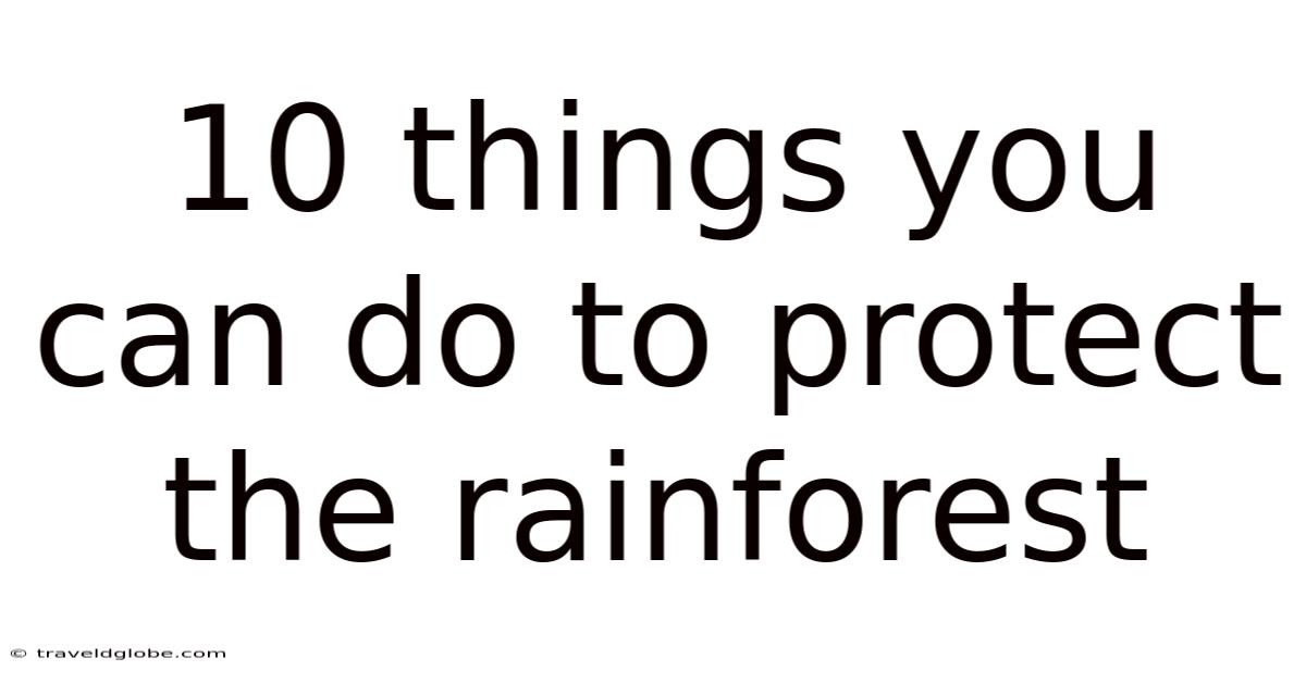 10 Things You Can Do To Protect The Rainforest