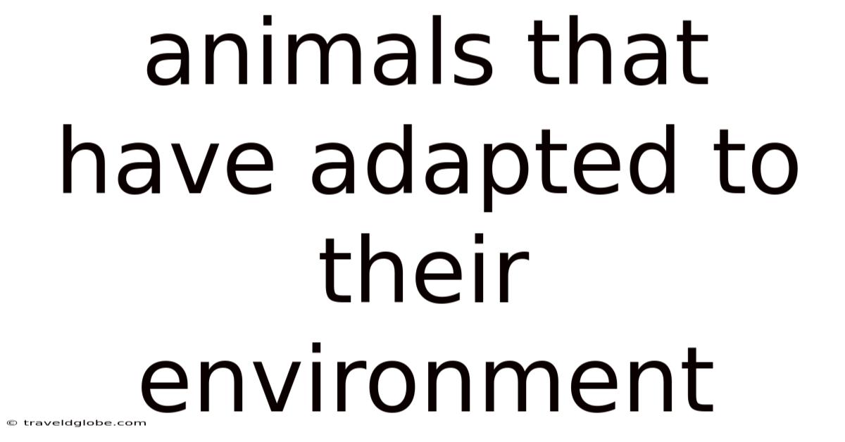 Animals That Have Adapted To Their Environment