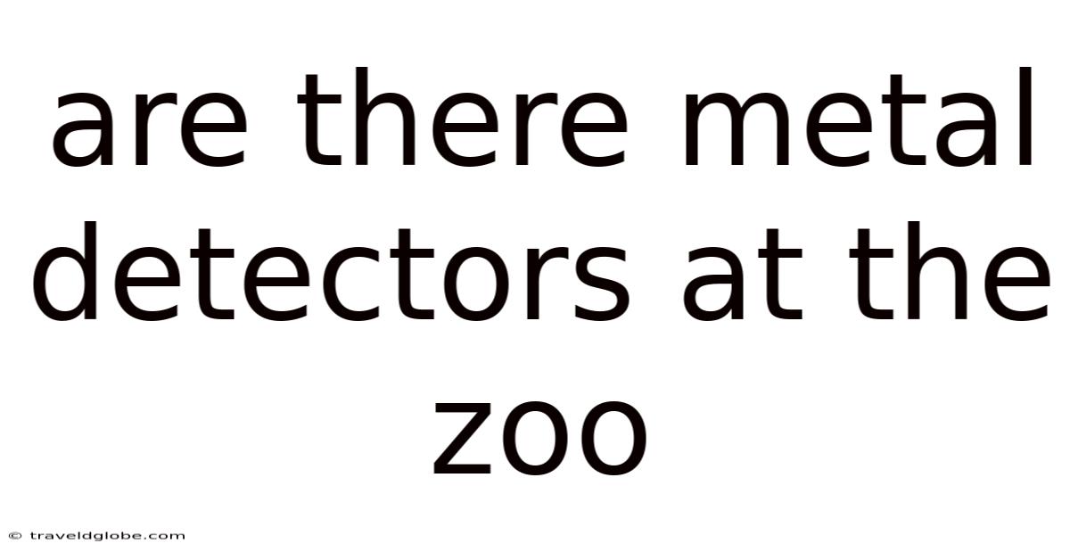 Are There Metal Detectors At The Zoo