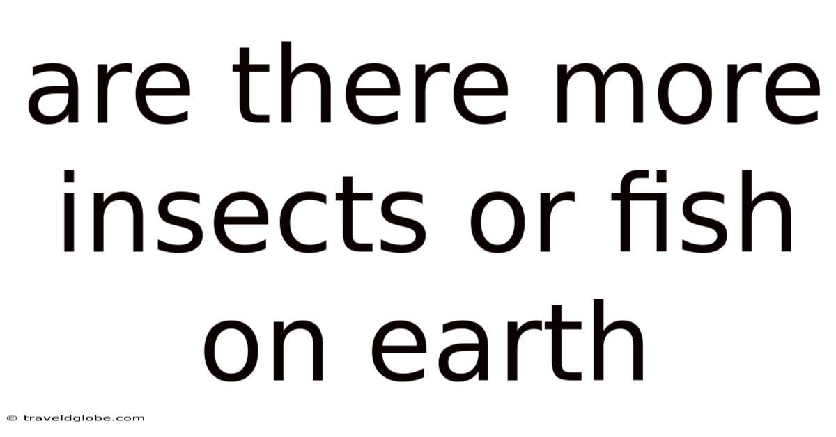 Are There More Insects Or Fish On Earth