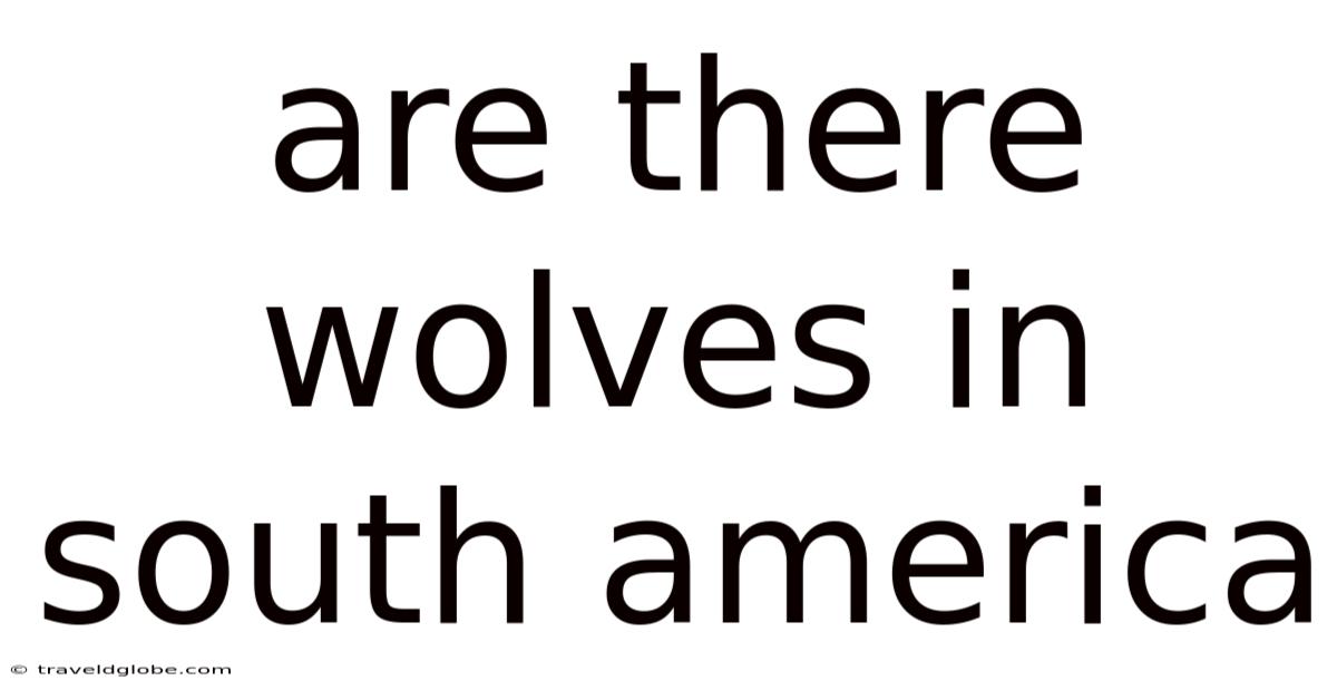 Are There Wolves In South America
