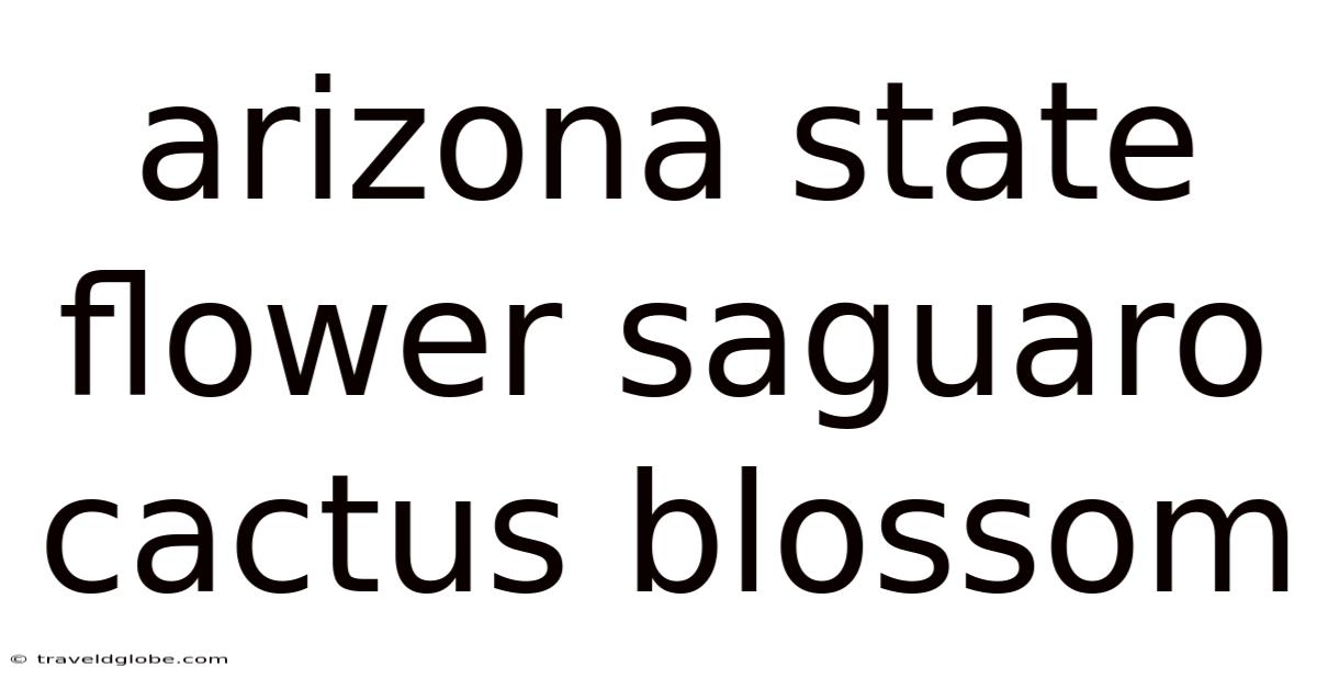 Arizona State Flower Saguaro Cactus Blossom