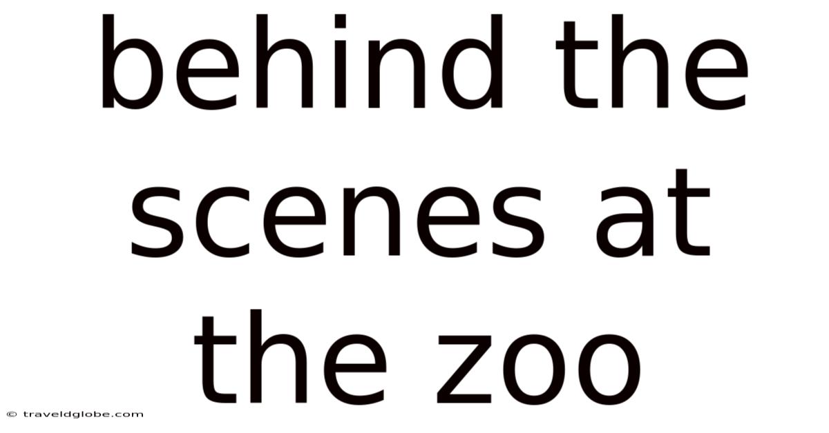 Behind The Scenes At The Zoo