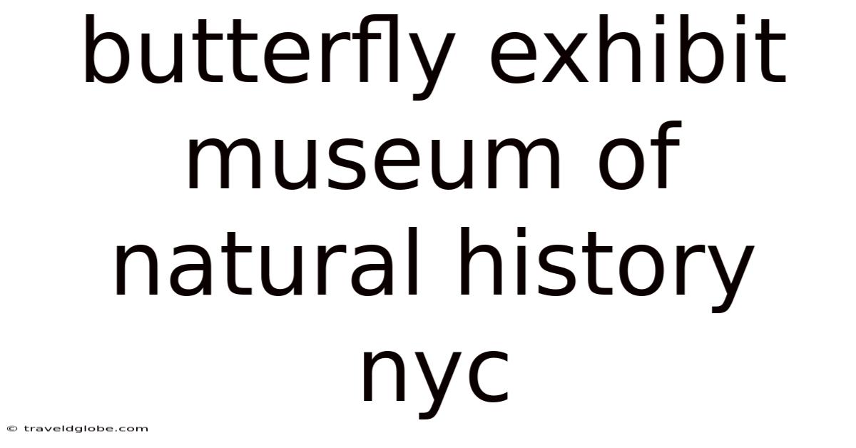 Butterfly Exhibit Museum Of Natural History Nyc