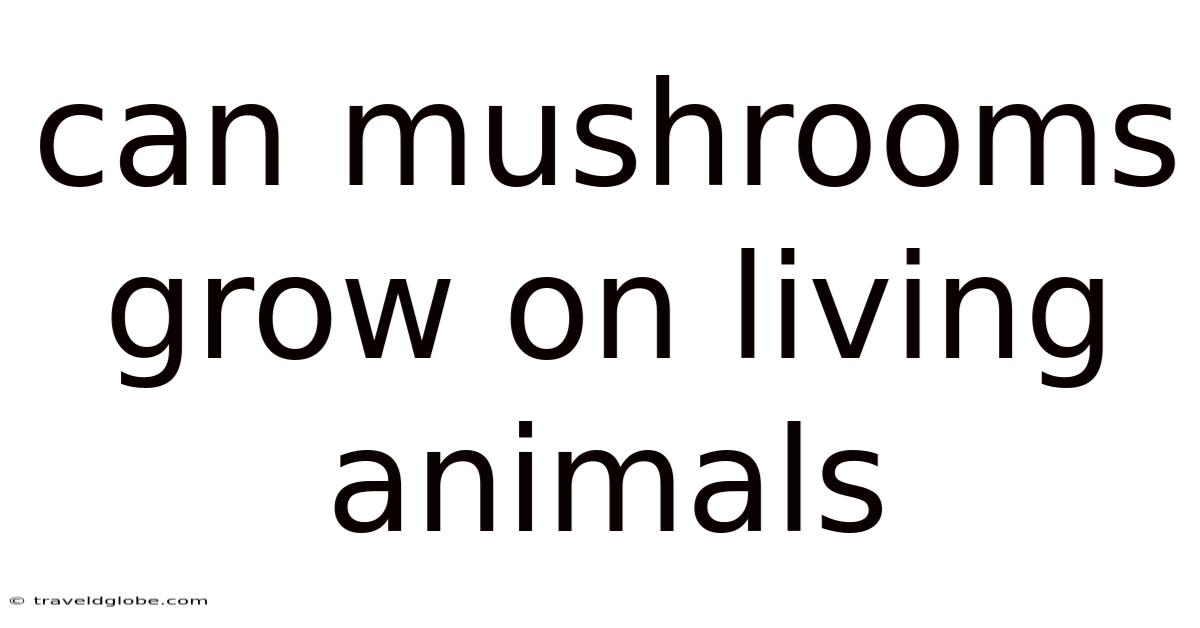Can Mushrooms Grow On Living Animals