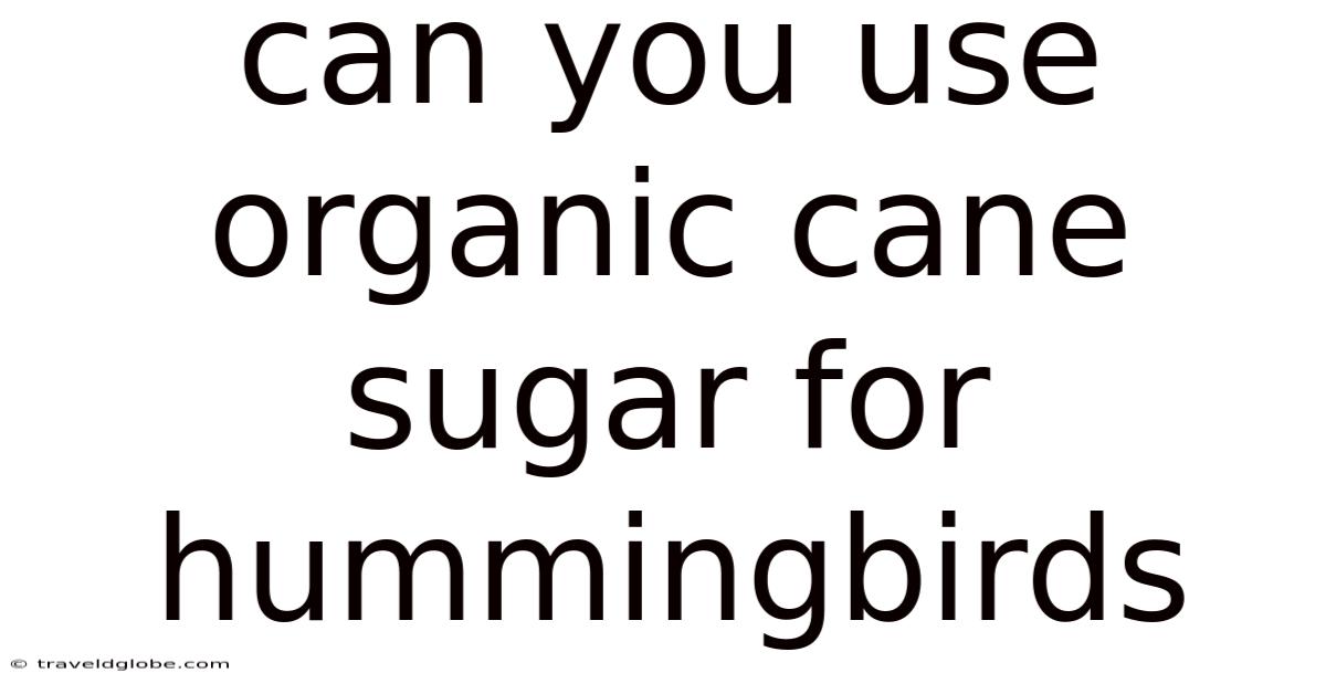 Can You Use Organic Cane Sugar For Hummingbirds
