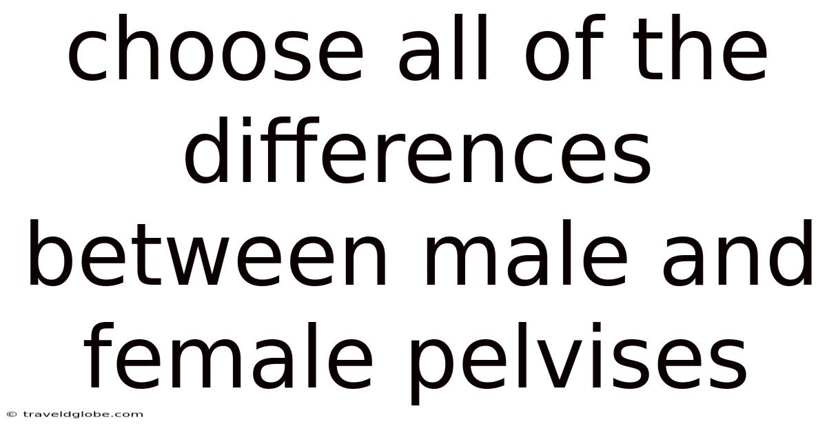 Choose All Of The Differences Between Male And Female Pelvises