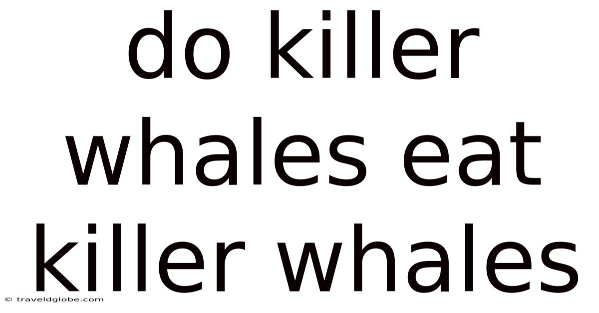 Do Killer Whales Eat Killer Whales