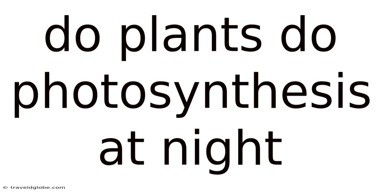 Do Plants Do Photosynthesis At Night