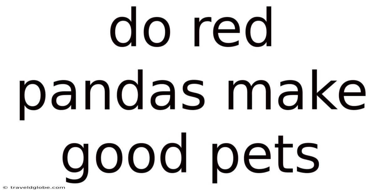 Do Red Pandas Make Good Pets