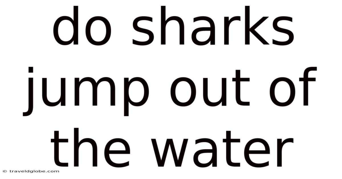 Do Sharks Jump Out Of The Water