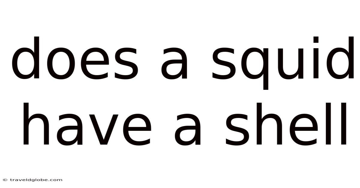 Does A Squid Have A Shell