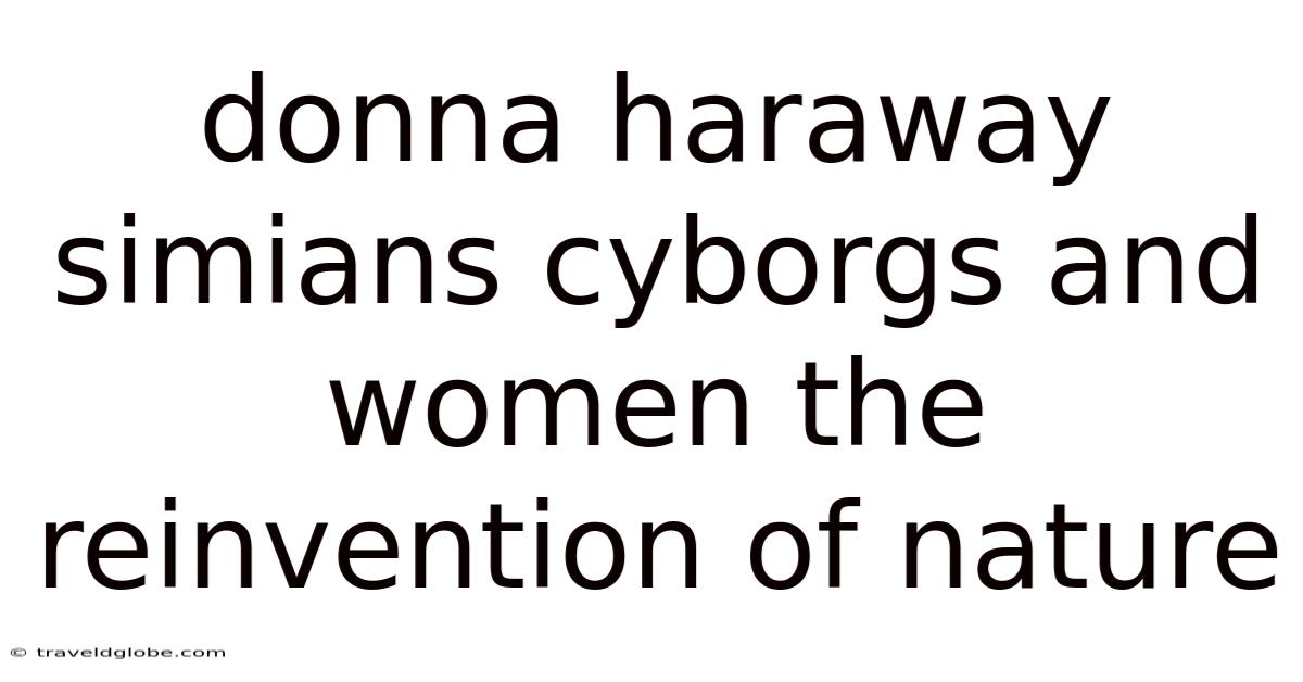 Donna Haraway Simians Cyborgs And Women The Reinvention Of Nature