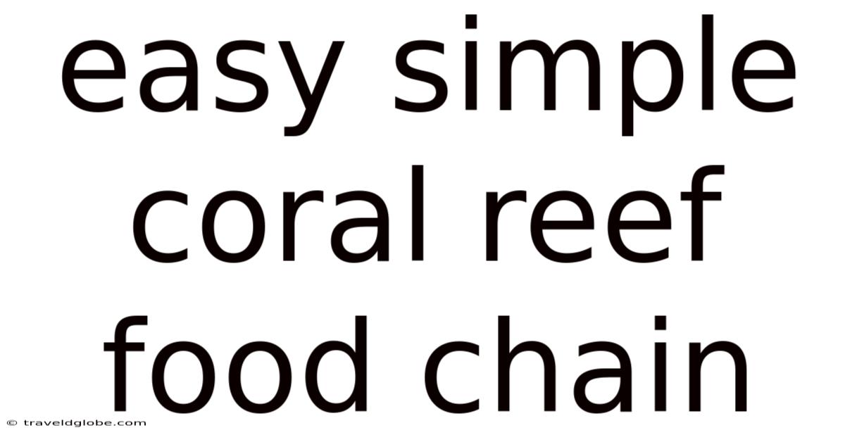 Easy Simple Coral Reef Food Chain