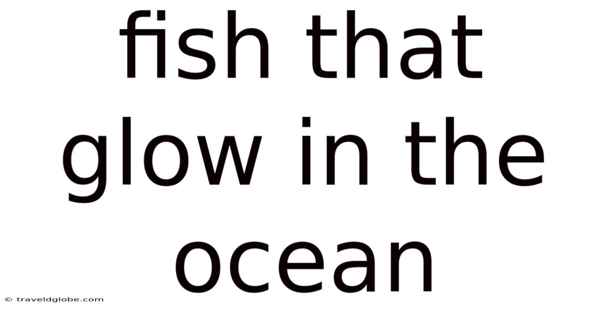 Fish That Glow In The Ocean