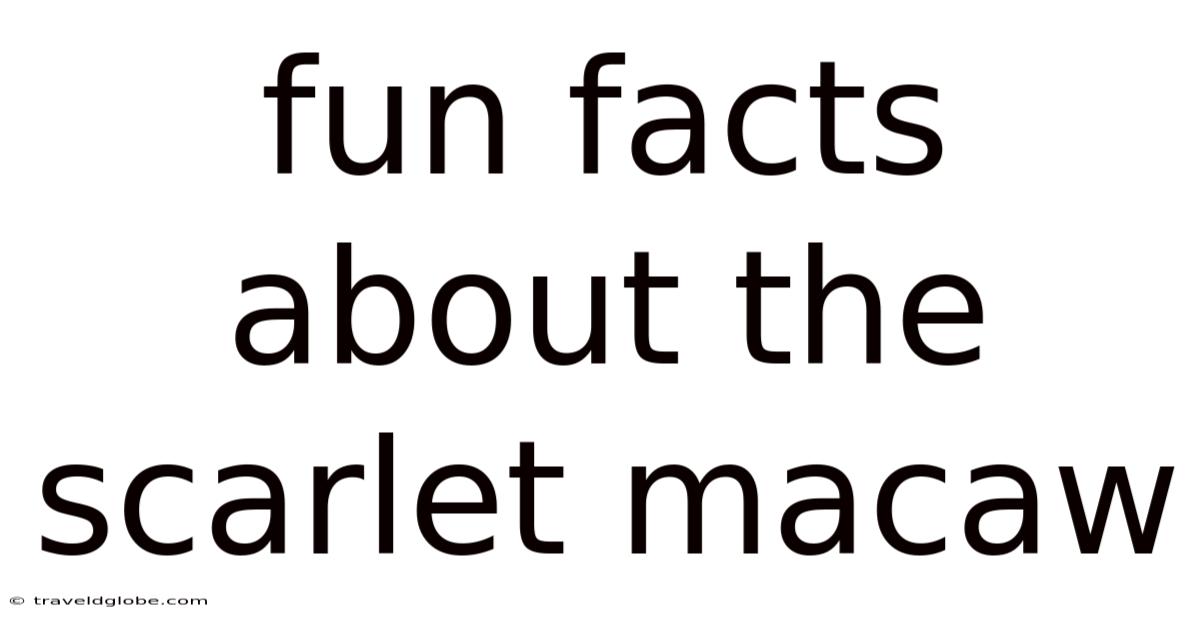 Fun Facts About The Scarlet Macaw