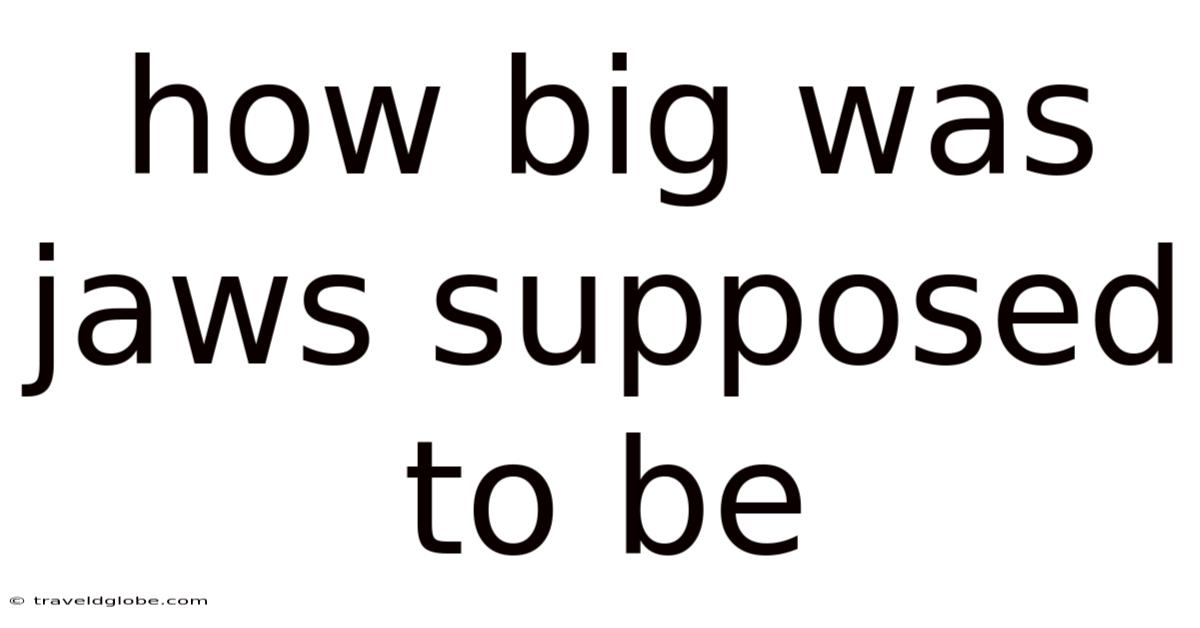 How Big Was Jaws Supposed To Be