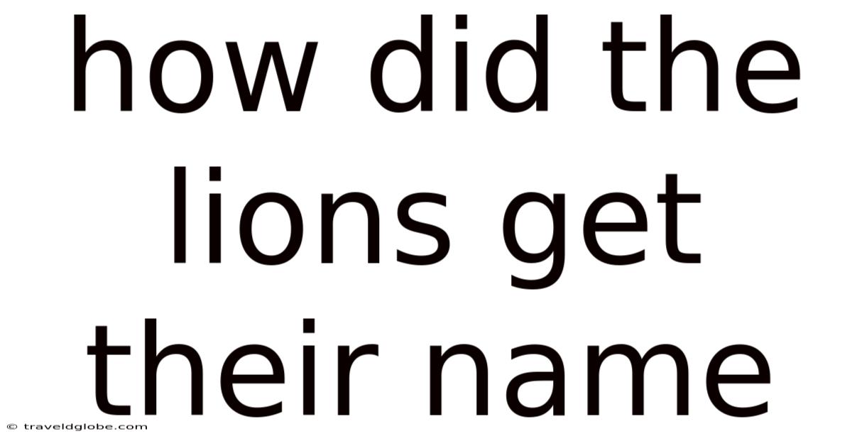 How Did The Lions Get Their Name