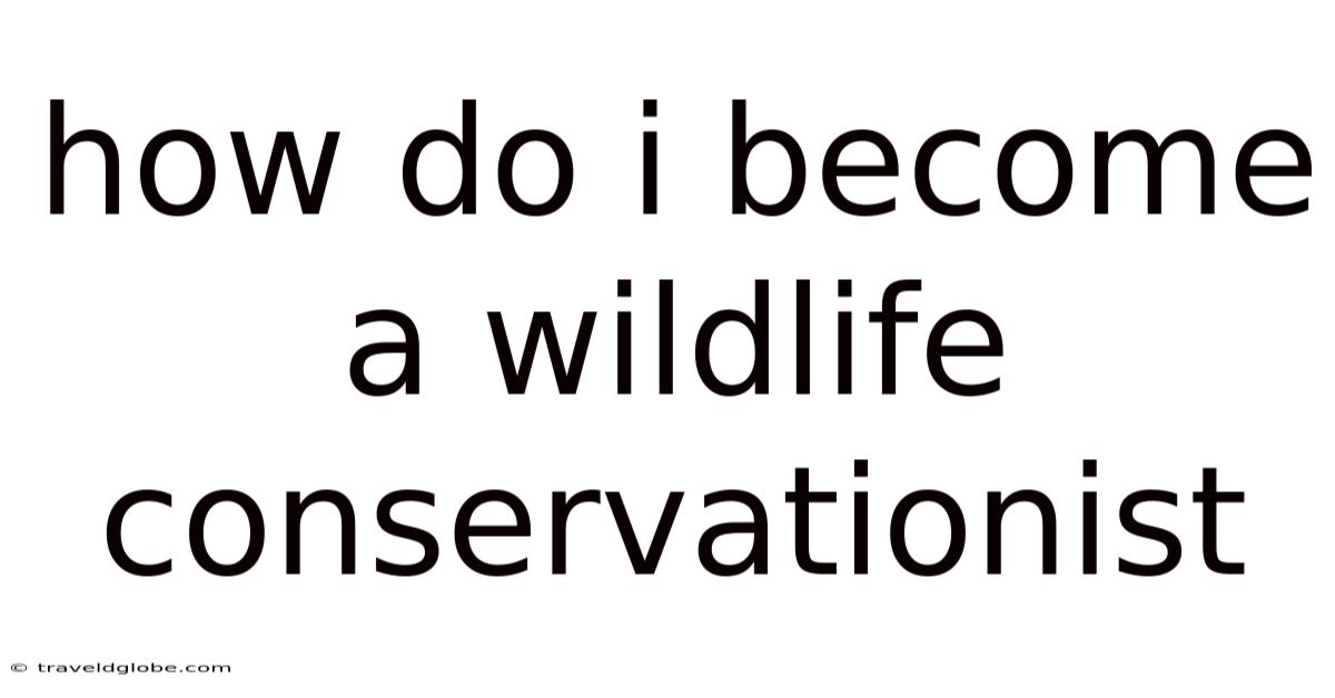 How Do I Become A Wildlife Conservationist