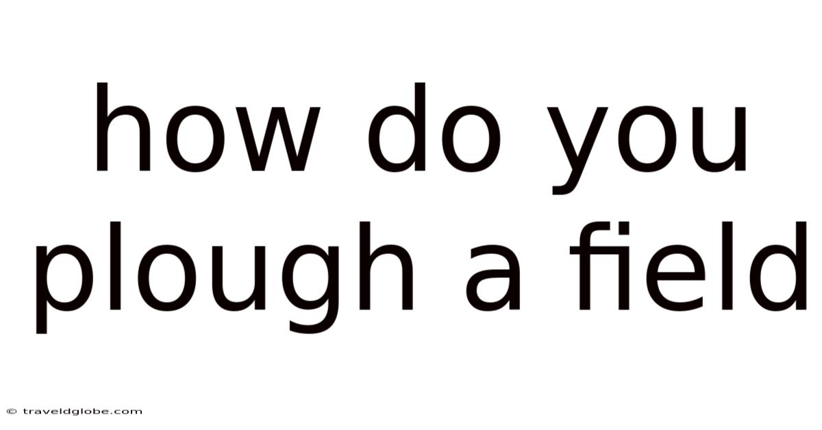 How Do You Plough A Field