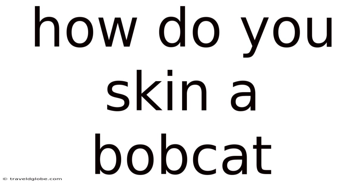 How Do You Skin A Bobcat