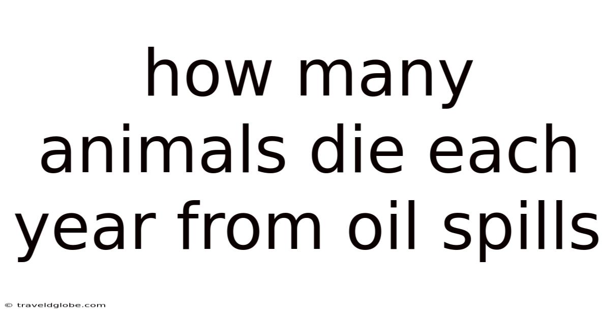 How Many Animals Die Each Year From Oil Spills