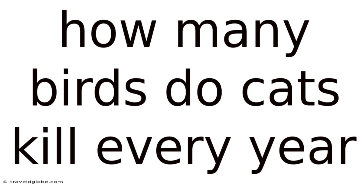 How Many Birds Do Cats Kill Every Year