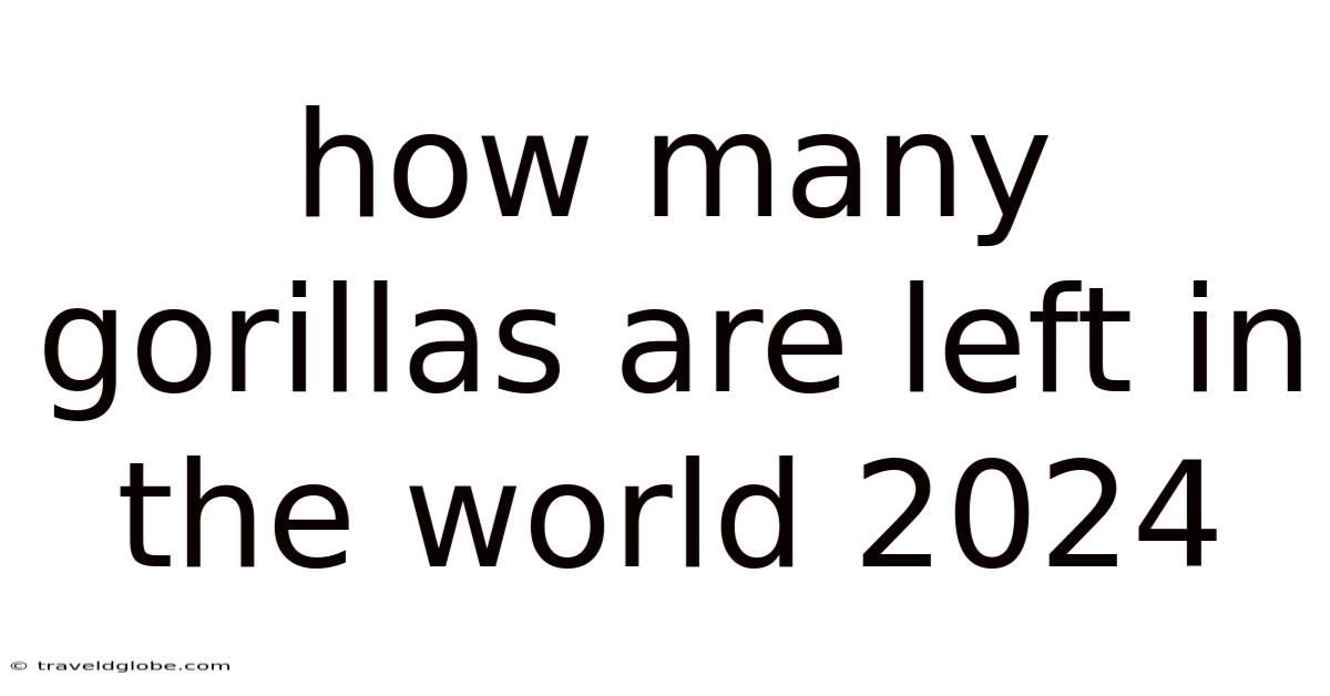 How Many Gorillas Are Left In The World 2024