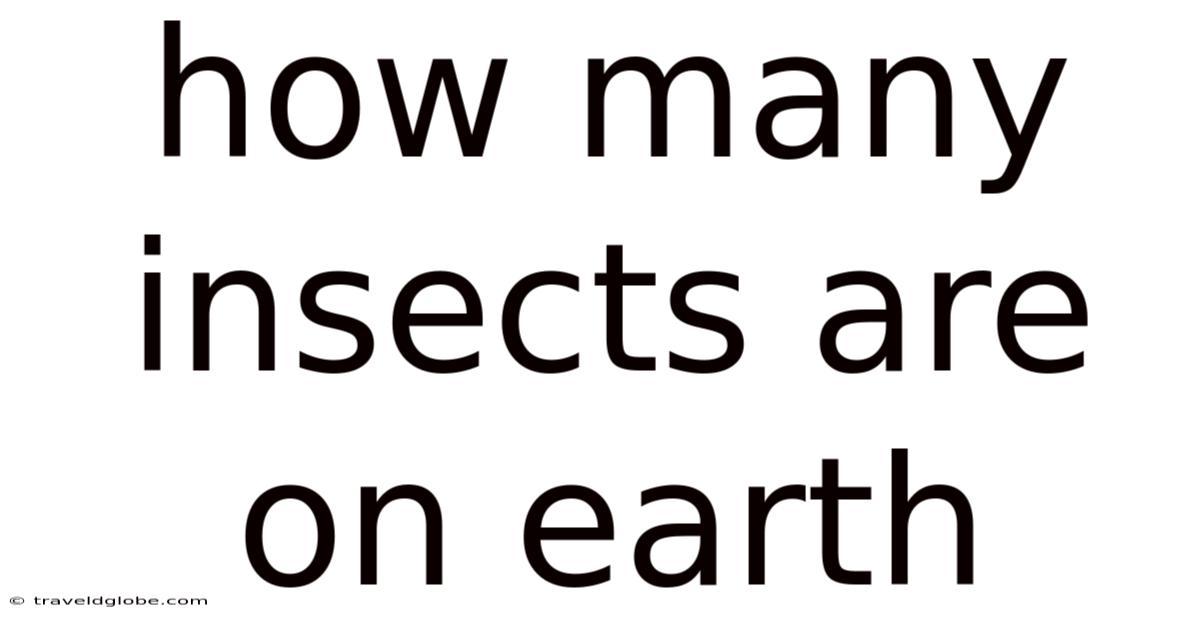 How Many Insects Are On Earth