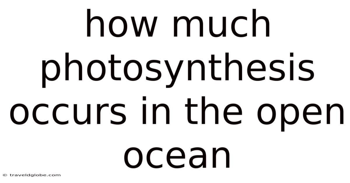 How Much Photosynthesis Occurs In The Open Ocean