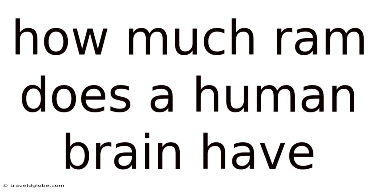 How Much Ram Does A Human Brain Have