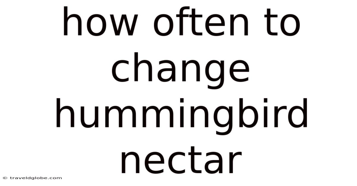 How Often To Change Hummingbird Nectar
