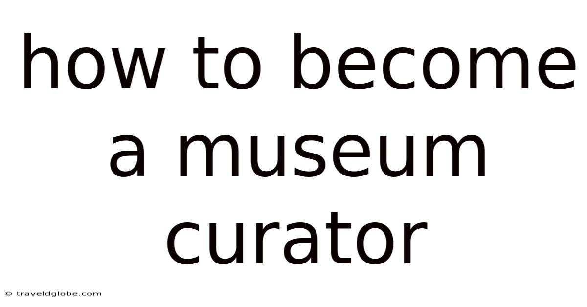 How To Become A Museum Curator