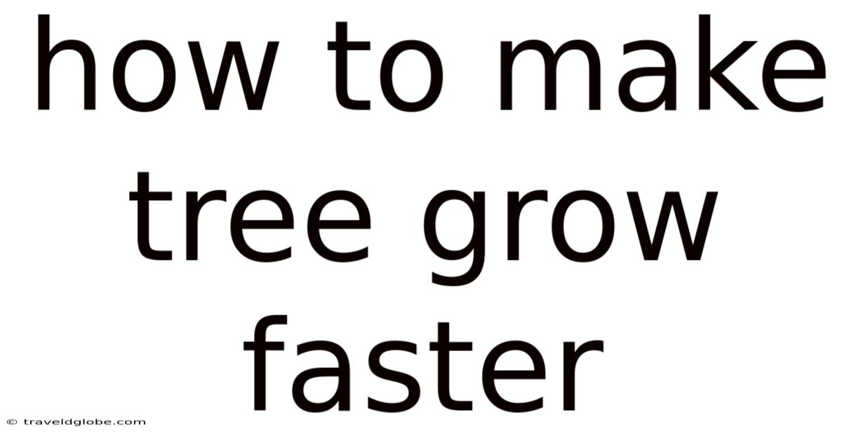 How To Make Tree Grow Faster