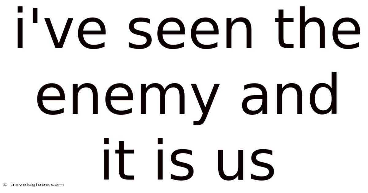 I've Seen The Enemy And It Is Us