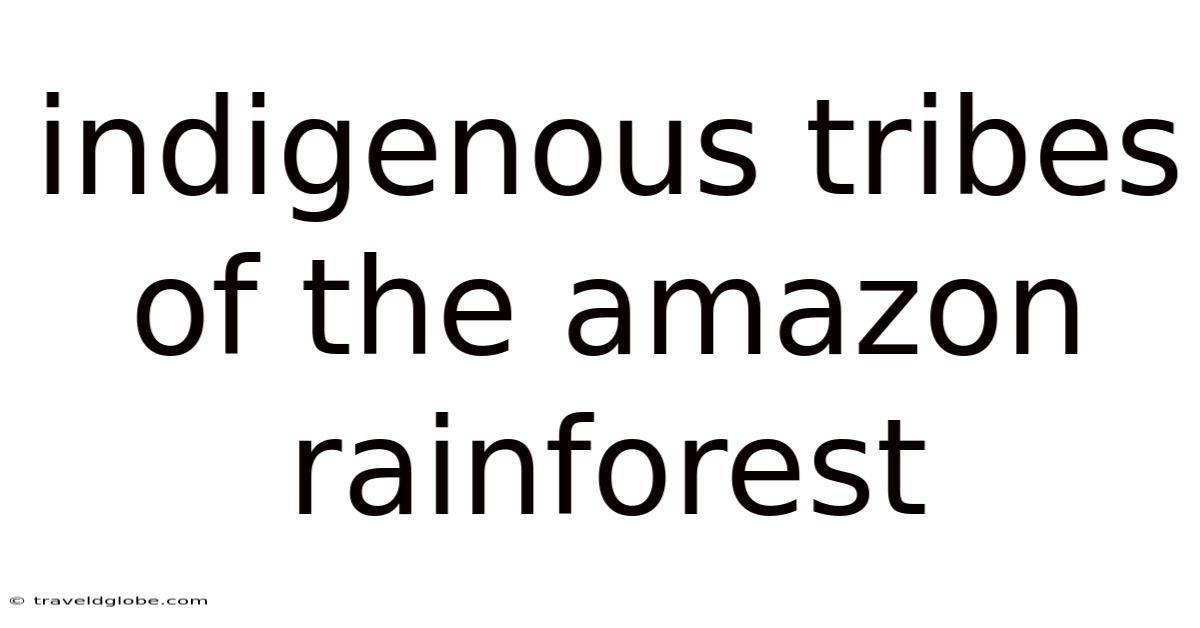 Indigenous Tribes Of The Amazon Rainforest