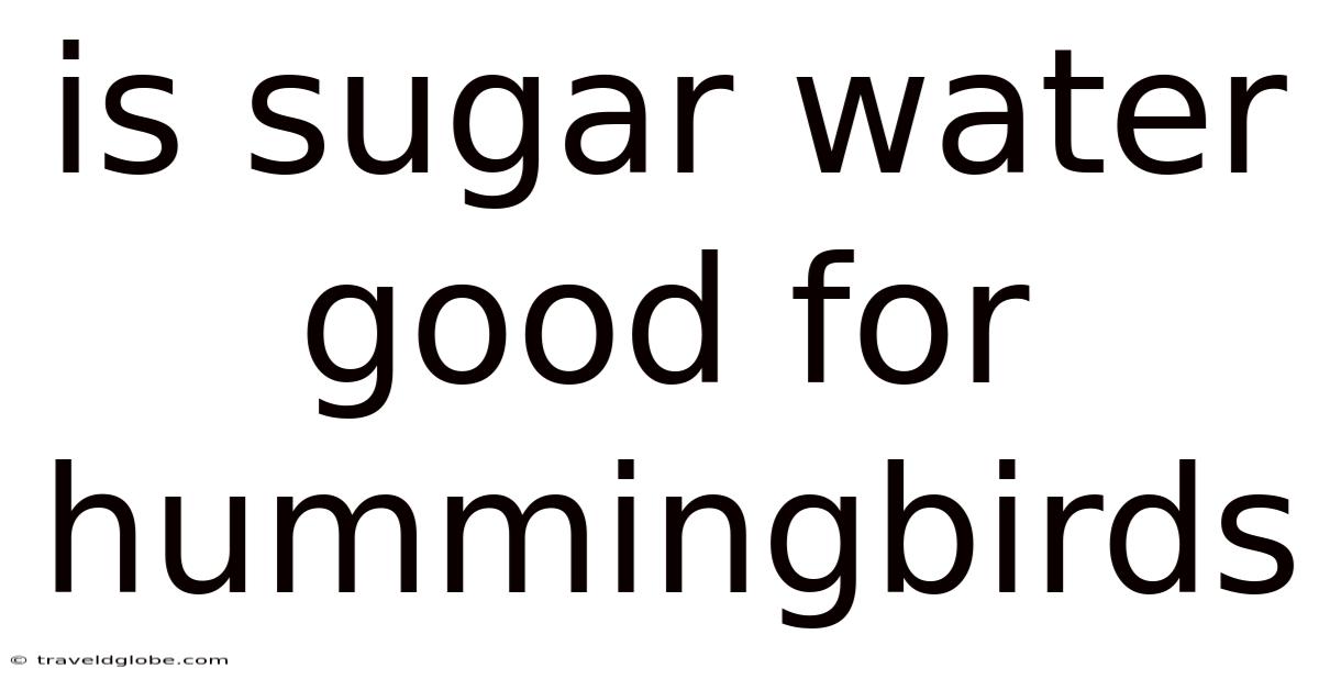 Is Sugar Water Good For Hummingbirds