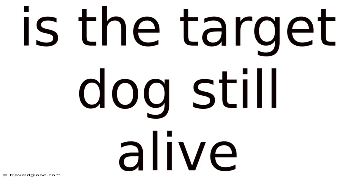 Is The Target Dog Still Alive