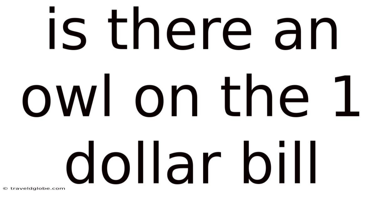 Is There An Owl On The 1 Dollar Bill