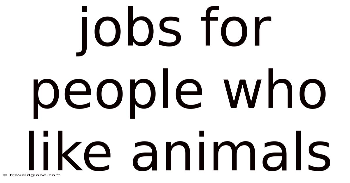 Jobs For People Who Like Animals
