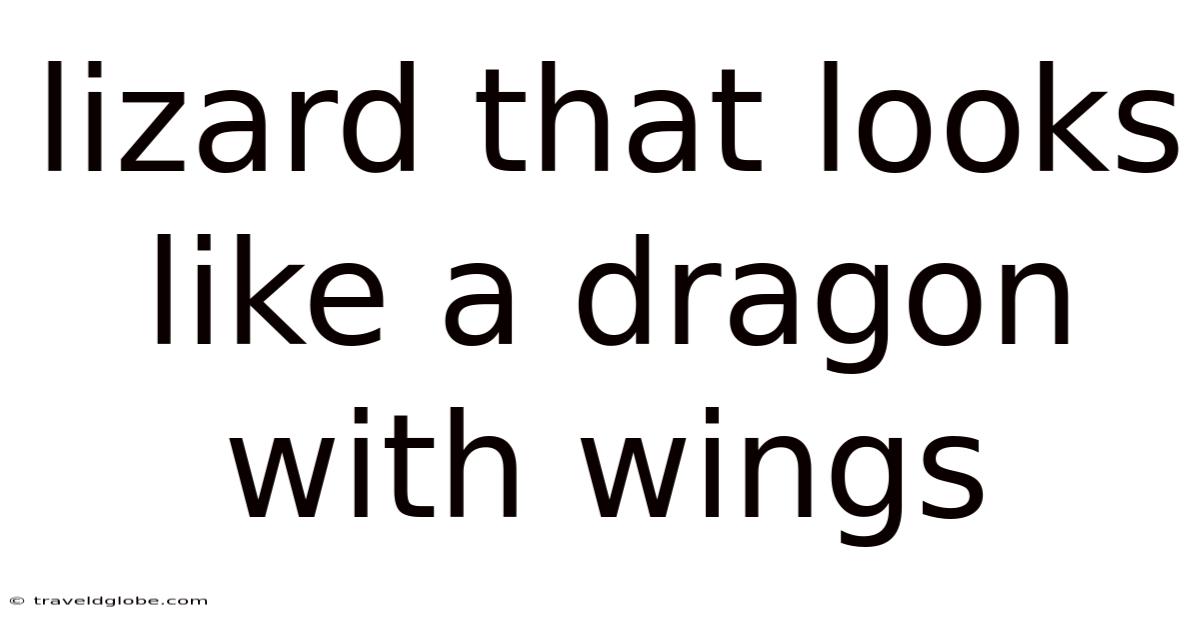 Lizard That Looks Like A Dragon With Wings