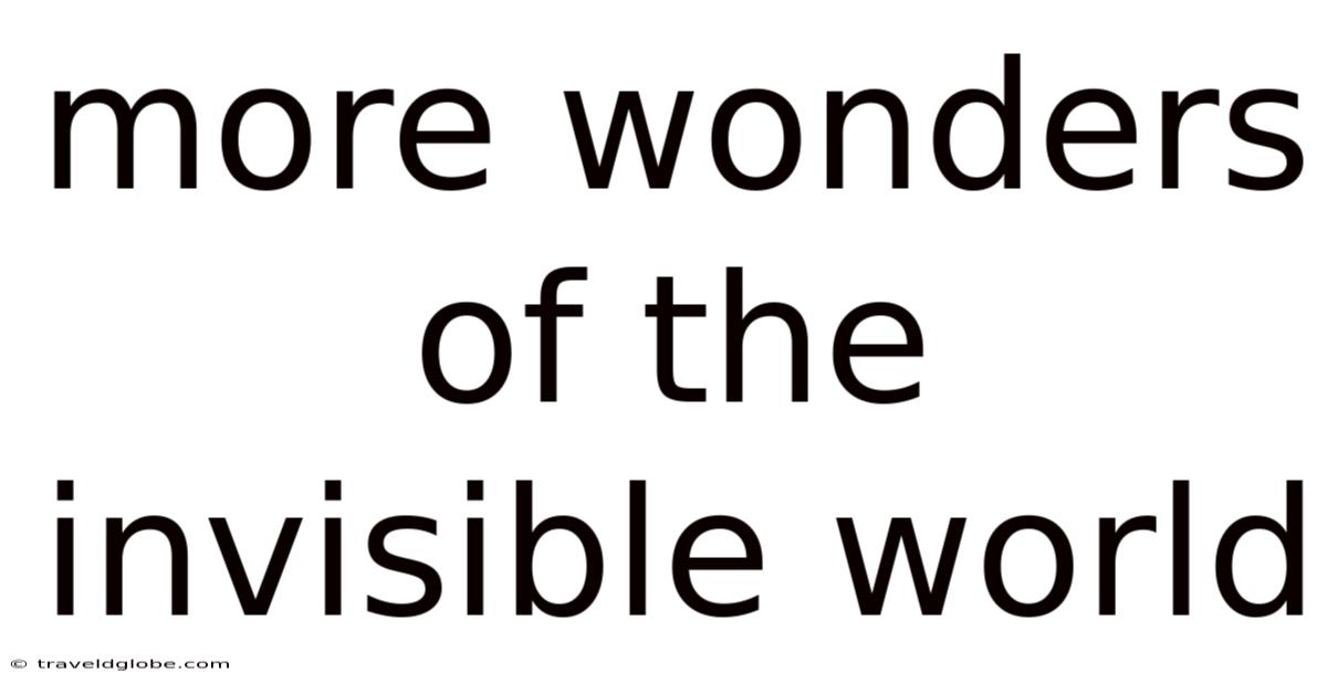 More Wonders Of The Invisible World