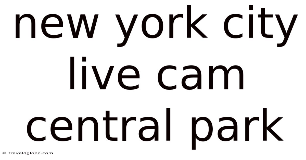 New York City Live Cam Central Park