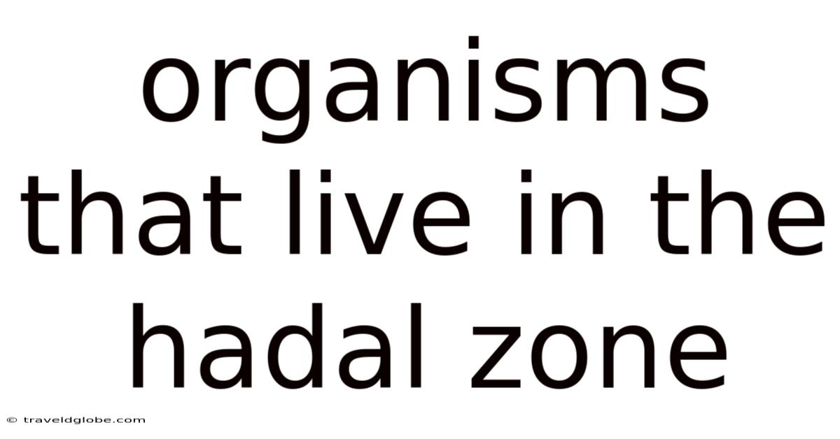 Organisms That Live In The Hadal Zone