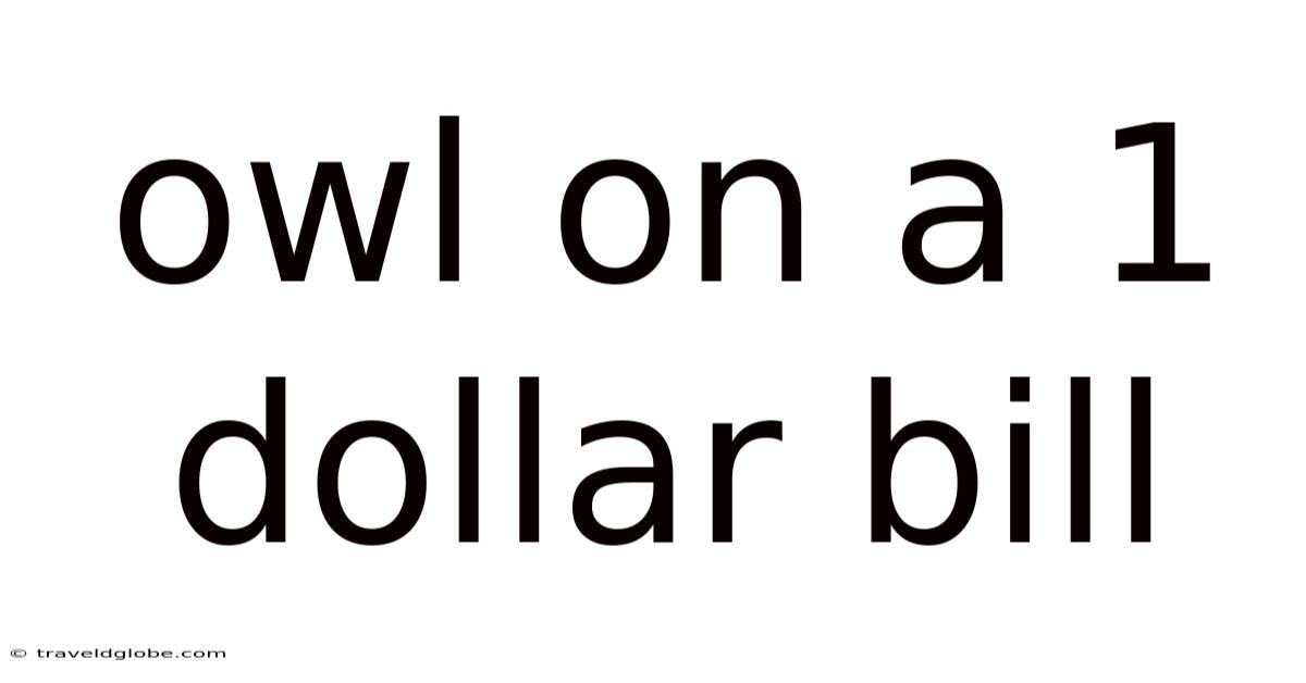 Owl On A 1 Dollar Bill