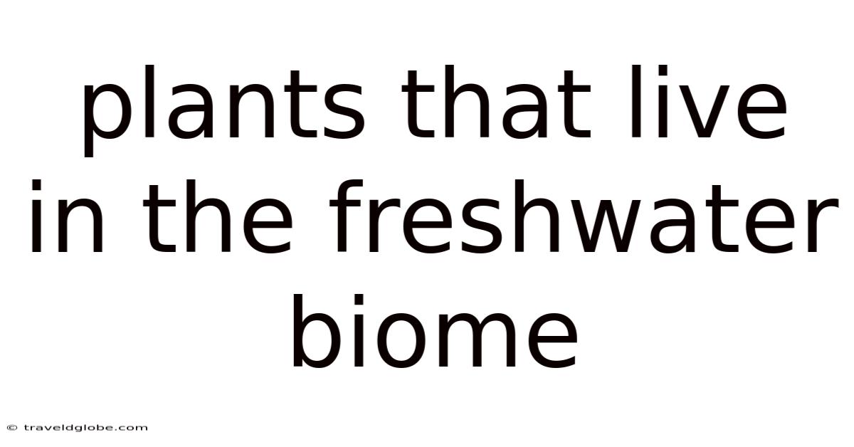 Plants That Live In The Freshwater Biome