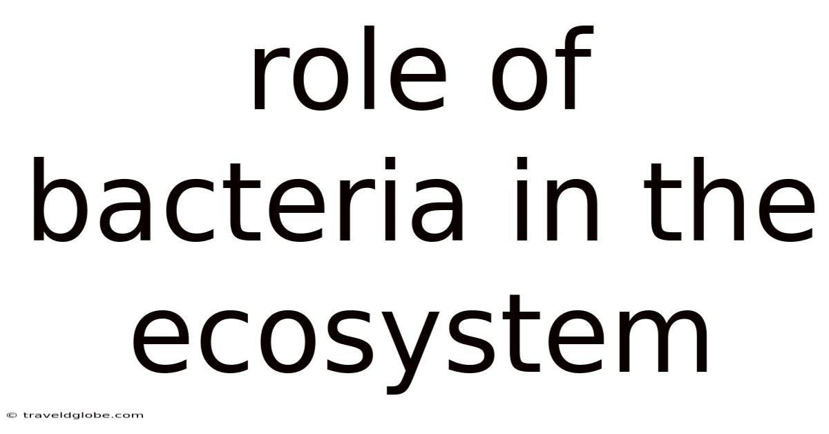 Role Of Bacteria In The Ecosystem