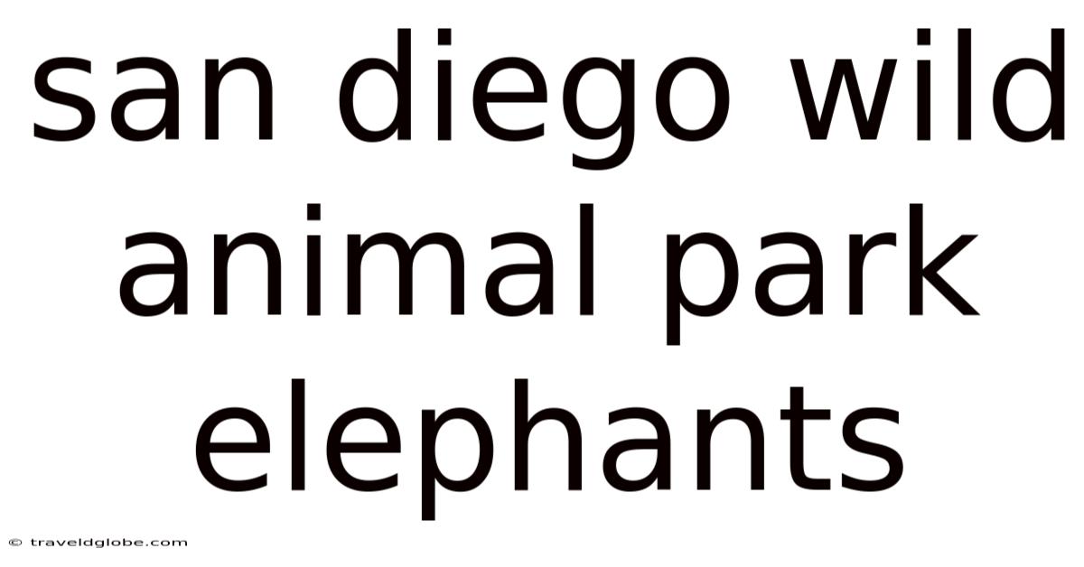 San Diego Wild Animal Park Elephants
